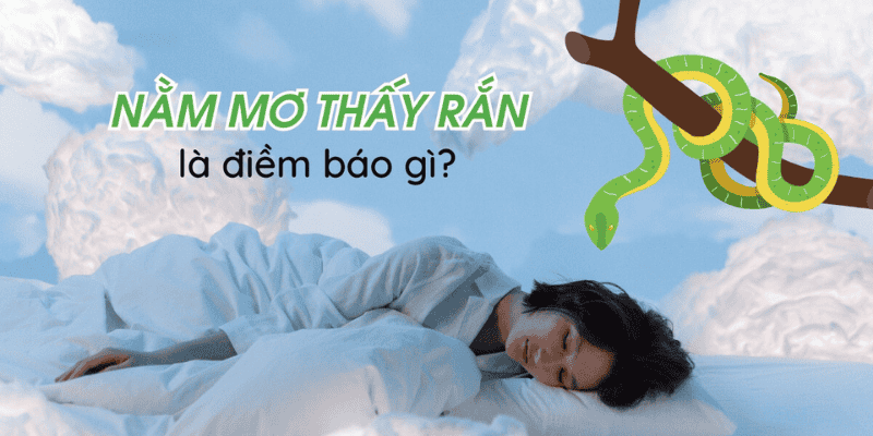 Mơ về rắn có ý nghĩa vô cùng sâu sắc