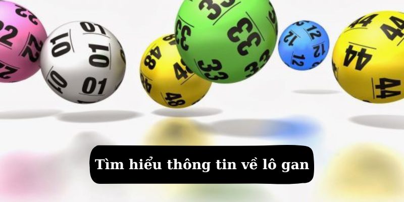 Tìm hiểu thông tin về lô gan